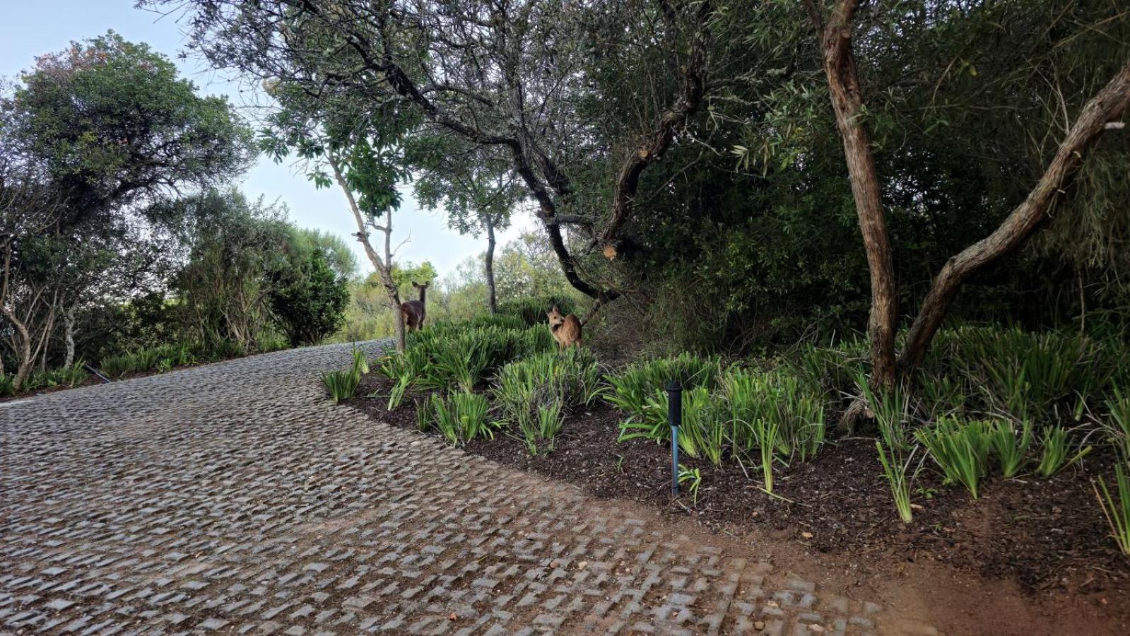 Oubaai Villa By Raw Africa Collection Herolds Bay Esterno foto